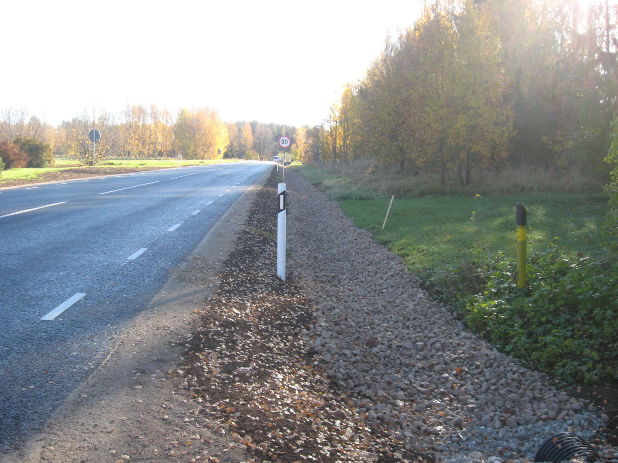 Riigitee nr 62 Kanepi-Leevaku km 25,5-33,6 rekonstrueerimise ja riigitee nr 87 Põlva ringtee km 0,955-2,971 ja 3,012-6,040 taastusremondi omanikujärelevalve teostamine