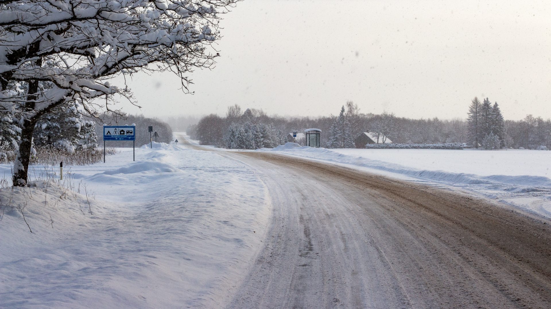 Taristuobjekti elukaar II